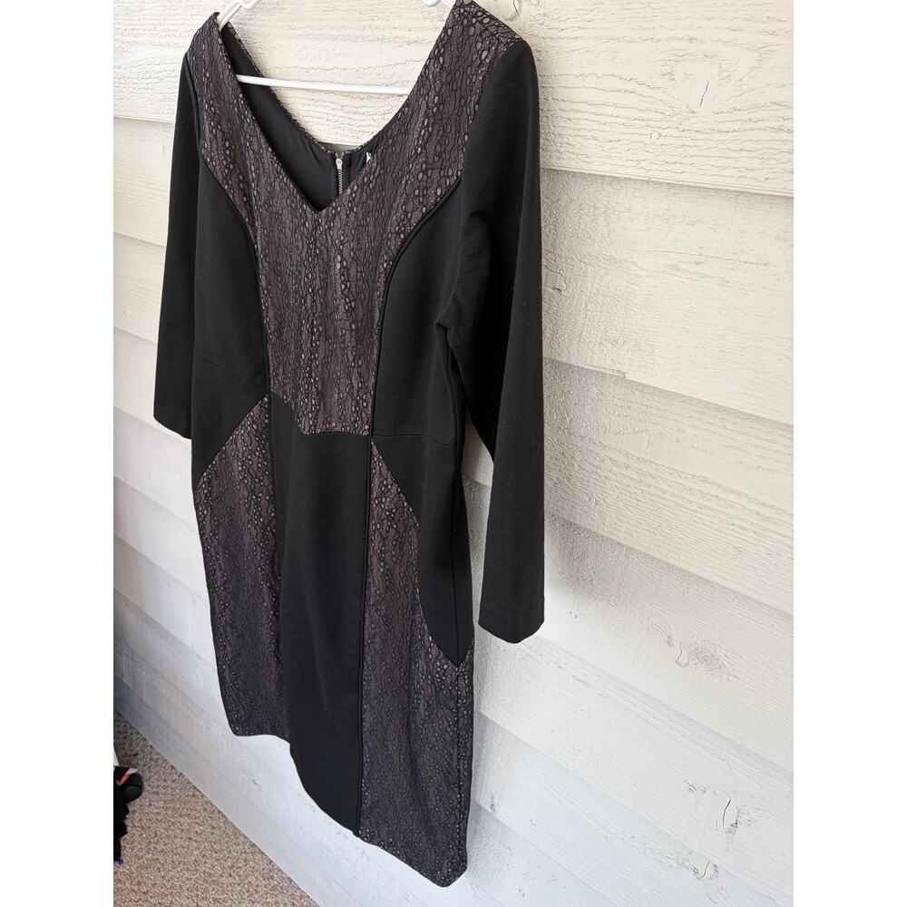 Max & Cleo Black Lace Panel Bodycon Dress Size 12 Cocktail Party Sheath - Picture 6 of 8